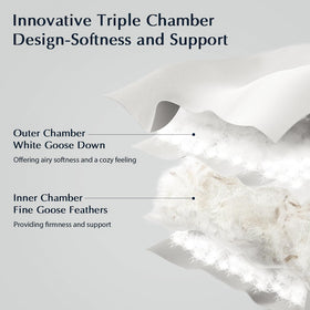 Pacific Coast Goose Feather Inner Chamber delivers firmness with airy, responsive comfort.