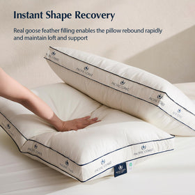 Pacific Coast hotel-at-home pillows bring luxury to your bed.