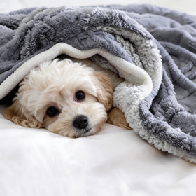 PAJEO Sherpa blanket 260gsm sherpa side delivers fluffy warmth without bulk.