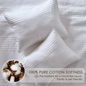 Palassio queen shams two-pack coordinates with the quilt.