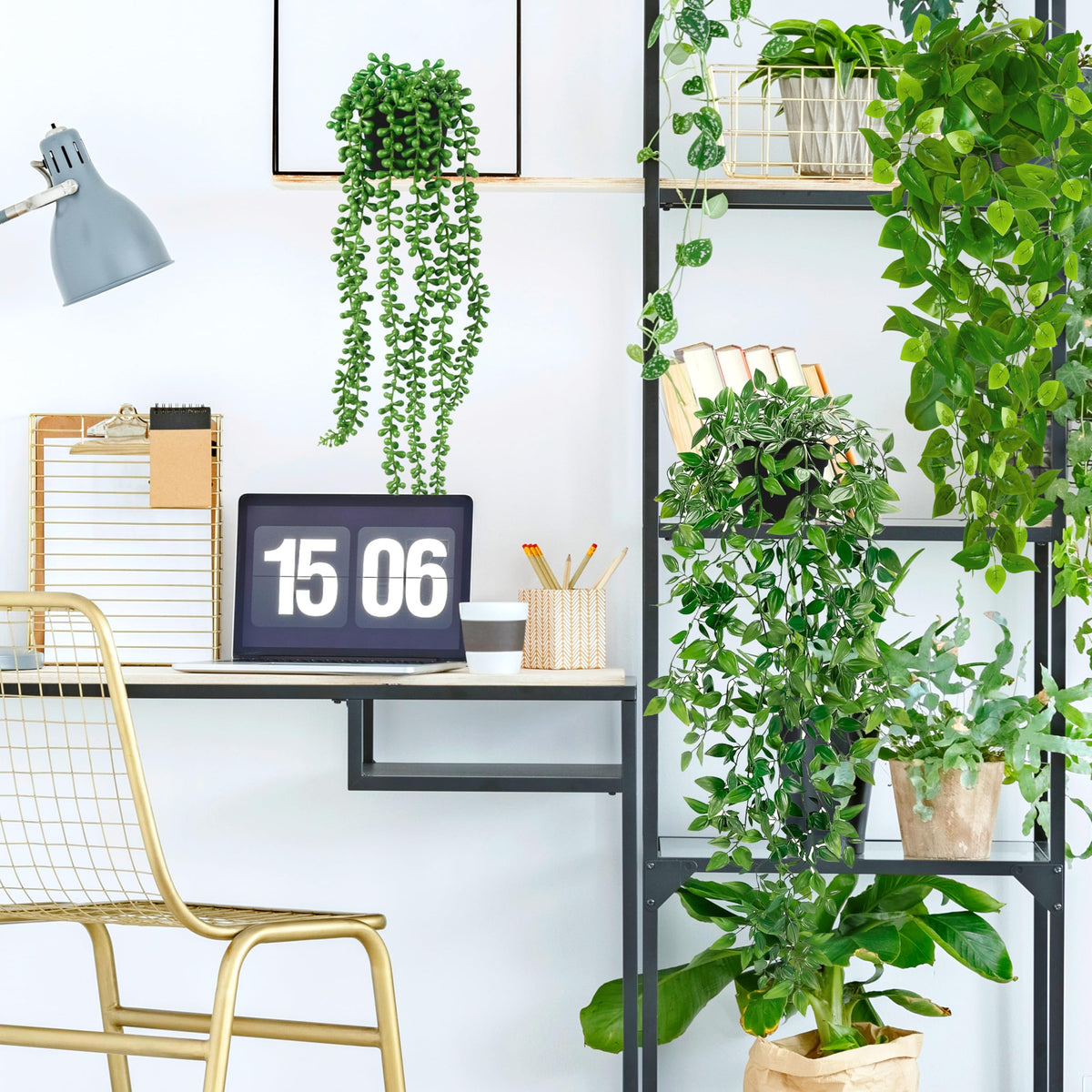 Palonu desk decor with hanging plants creates instant charm