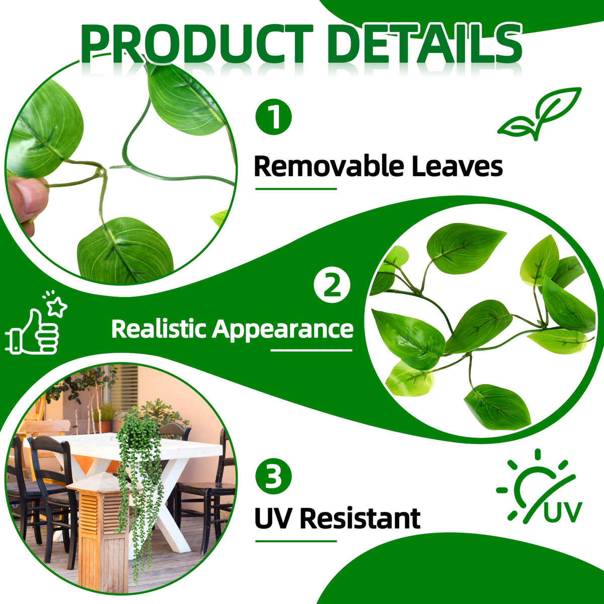 Palonu ivy vine in black pot enhances small-space walls