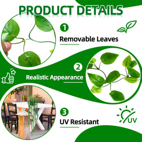Palonu ivy vine in black pot enhances small-space walls