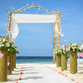 Party Essentials aisle runner can be cut to length for custom layouts
