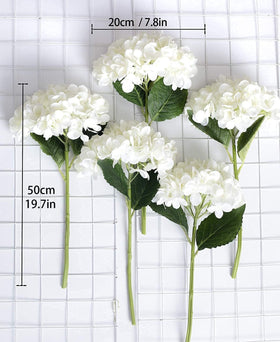 Close-up of Party Joy hydrangea petals for lush, realistic texture