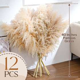 Pasuvsigt boho pampas grass collection enhances weddings and event decor