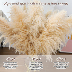 Pasuvsigt natural pampas is ethically sourced and odorless