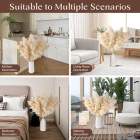 Pasuvsigt pampas grass care tips help maintain fullness