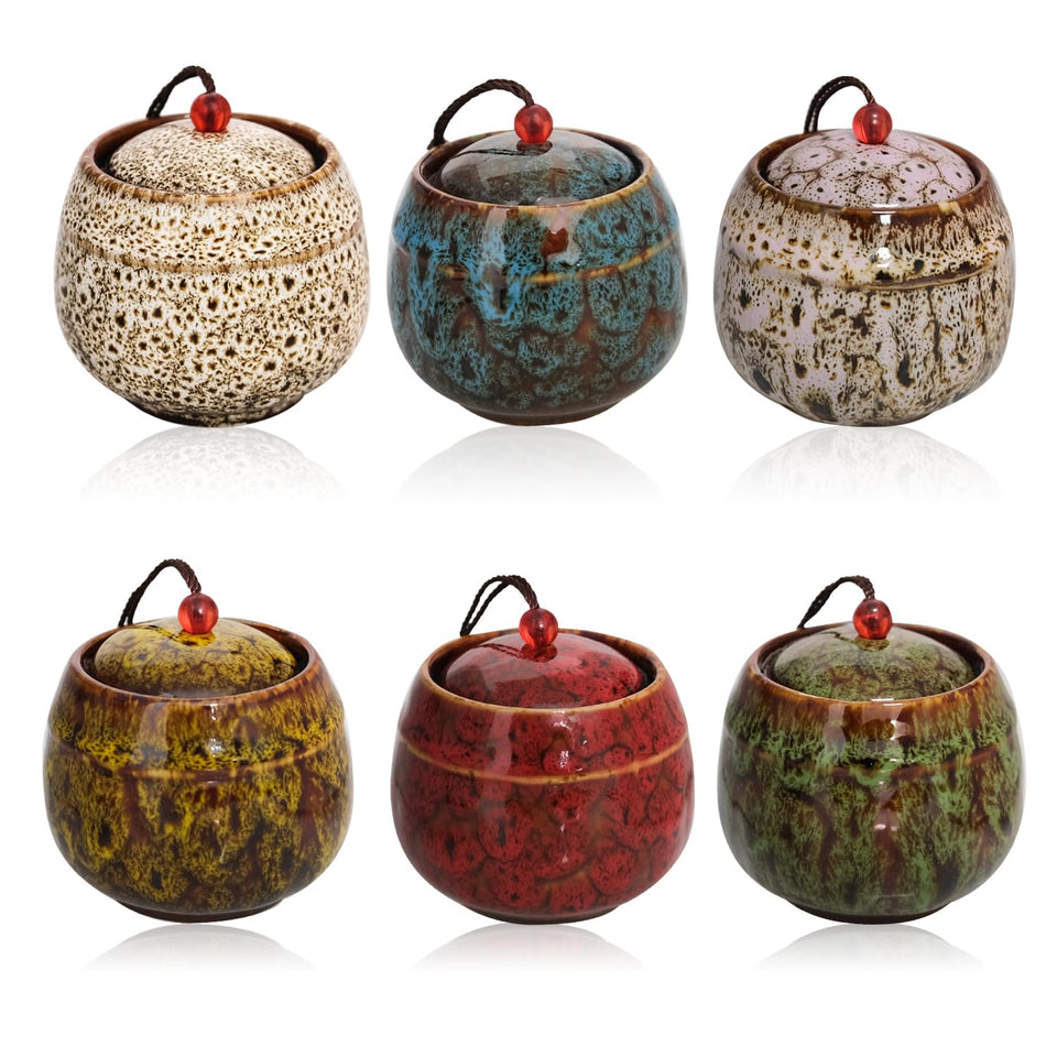 Patscorai six-piece ceramic urn set in multicolor for keepsakes