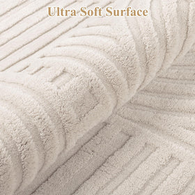 Pauwer soft fluffy rug closeup shows inviting texture