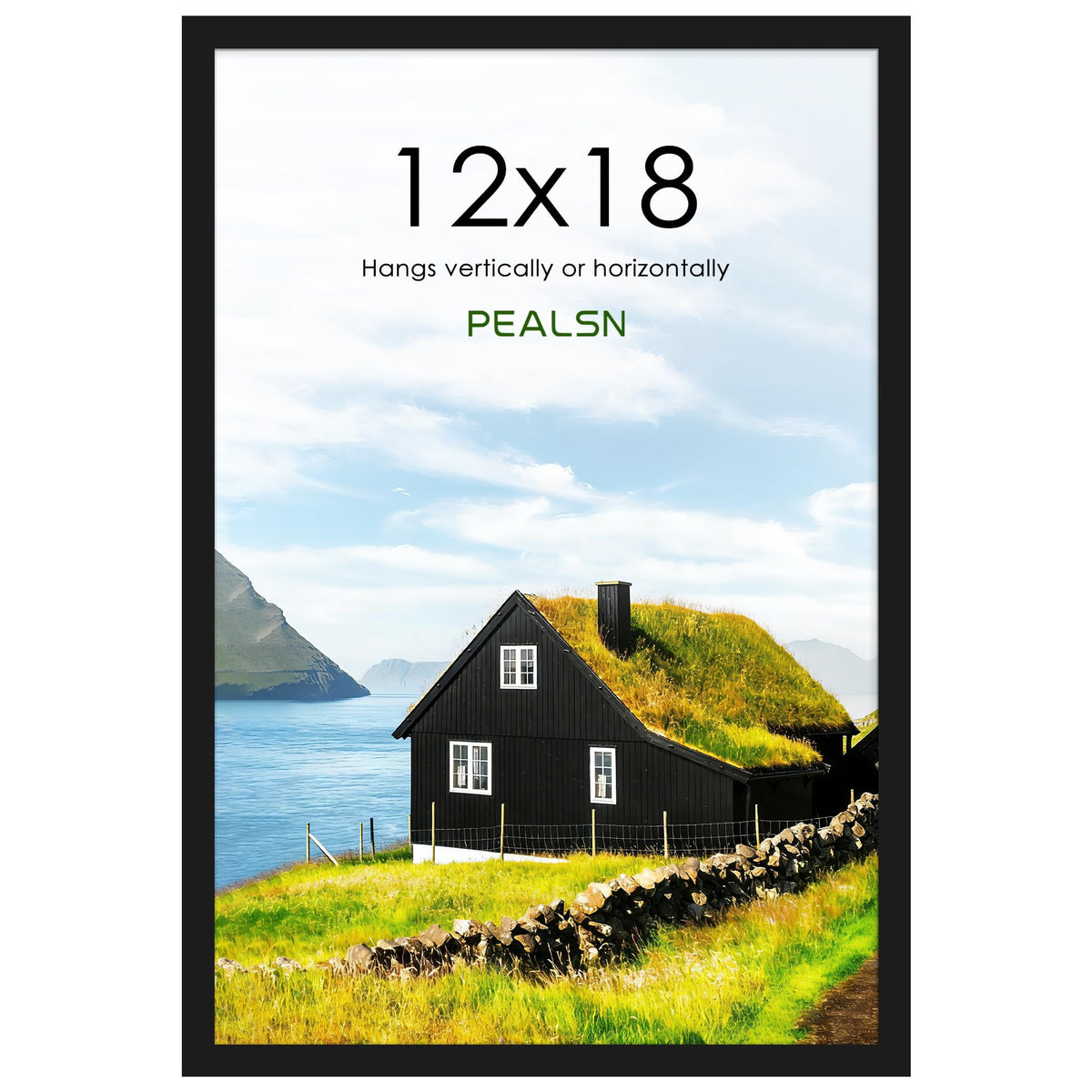 PEALSN 12x18 frame front view with clear front panel protecting artwork.