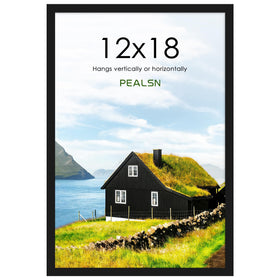 PEALSN 12x18 frame front view with clear front panel protecting artwork.