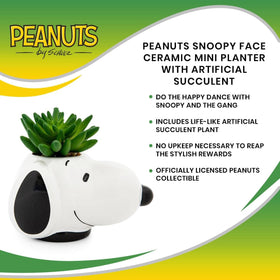 Peanuts collectors gift planters delight Charlie Brown enthusiasts.