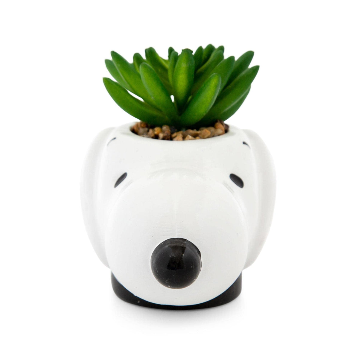 Officially licensed Peanuts gift planter for fans.