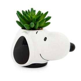 Peanuts Snoopy face ceramic mini planter with faux succulent for desk decor.