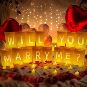 Peledic Will You Marry Me light up letters illuminate the proposal space