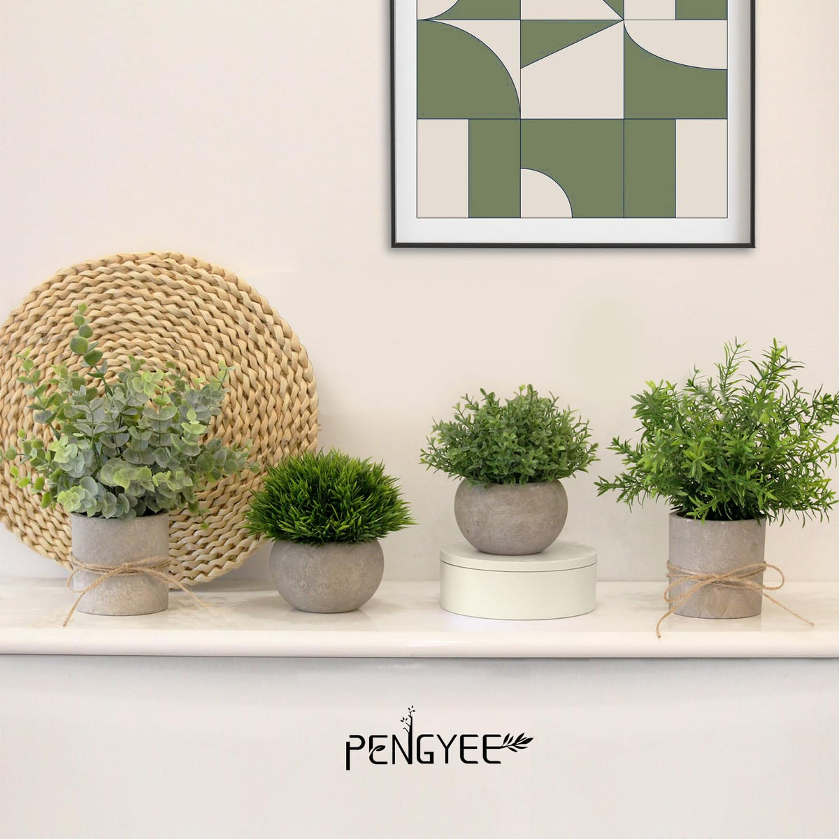 PENGYEE delicate-looking pots resemble ceramic while made from compressed pulp