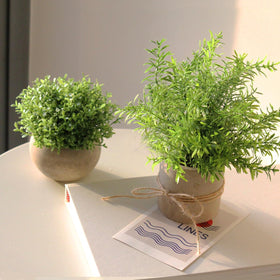 PENGYEE mini plant set travels easily for seasonal decorating