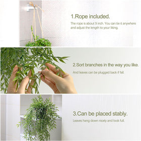 PENGYEE hanging plants decorating a room desk or shelf