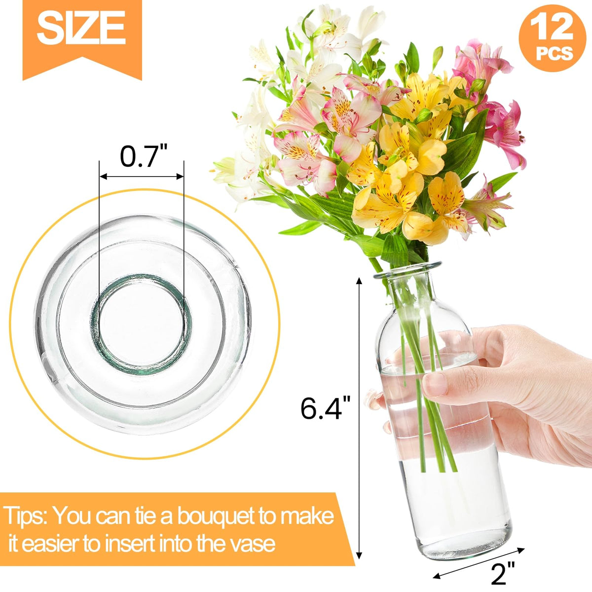 Peohud clear glass bud vase with narrow neck for precise stem display.