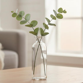 Peohud clear glass vases show stems clearly with subtle lip.