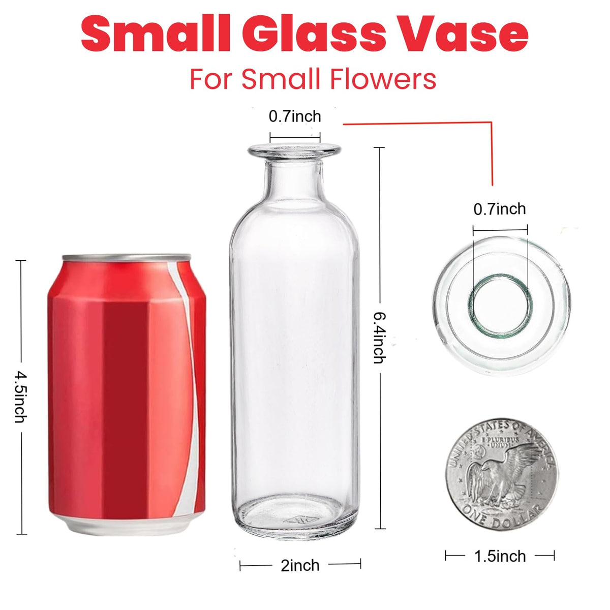 Peohud decorative vases enhance home decor with timeless transparent styling.