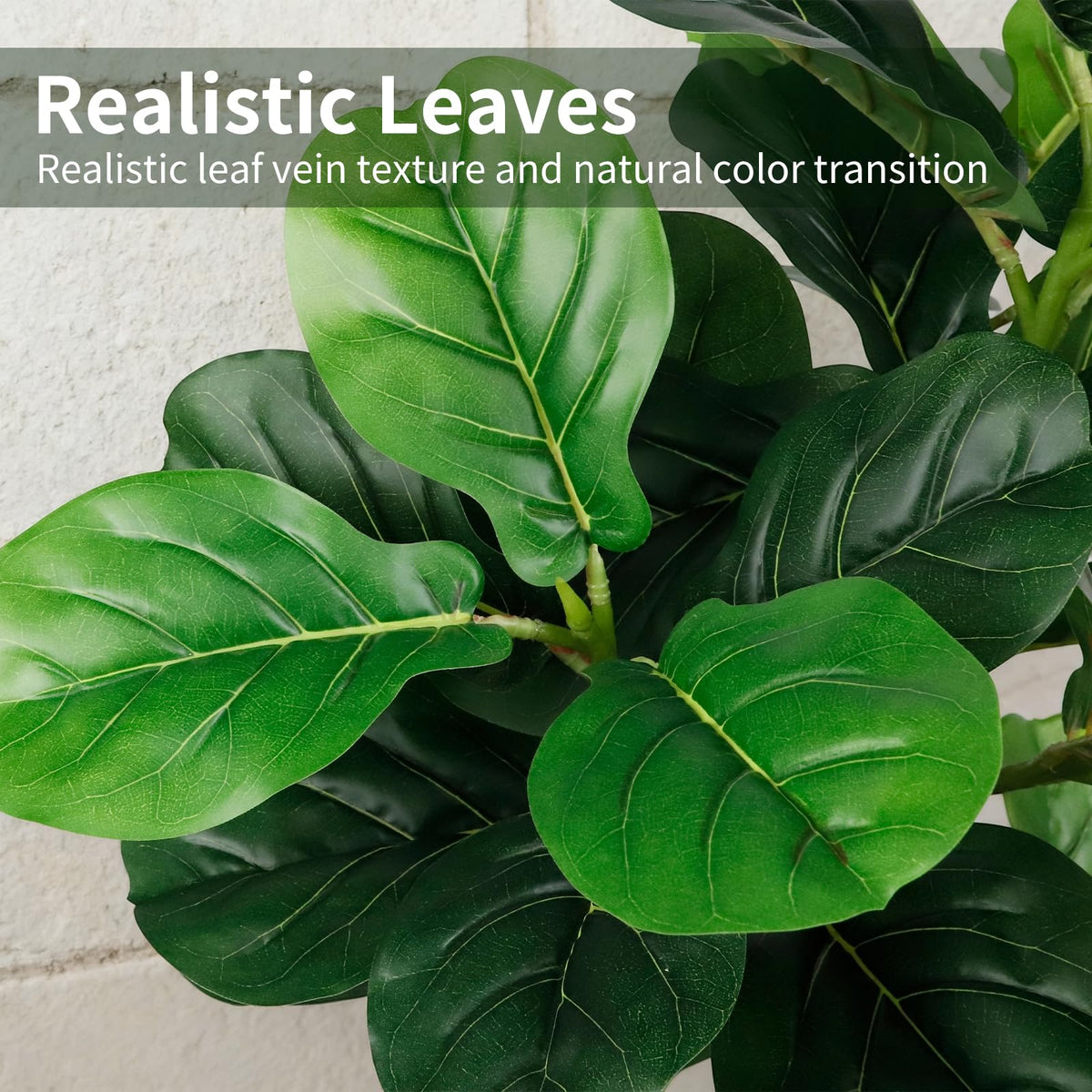 Close-up of PEPEUNI leaves showing realistic veining and color variation.