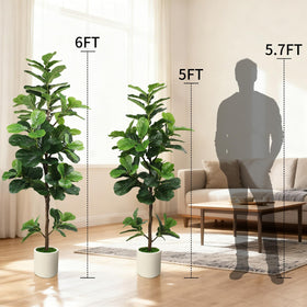 Flexible branches let you shape fullness and style.