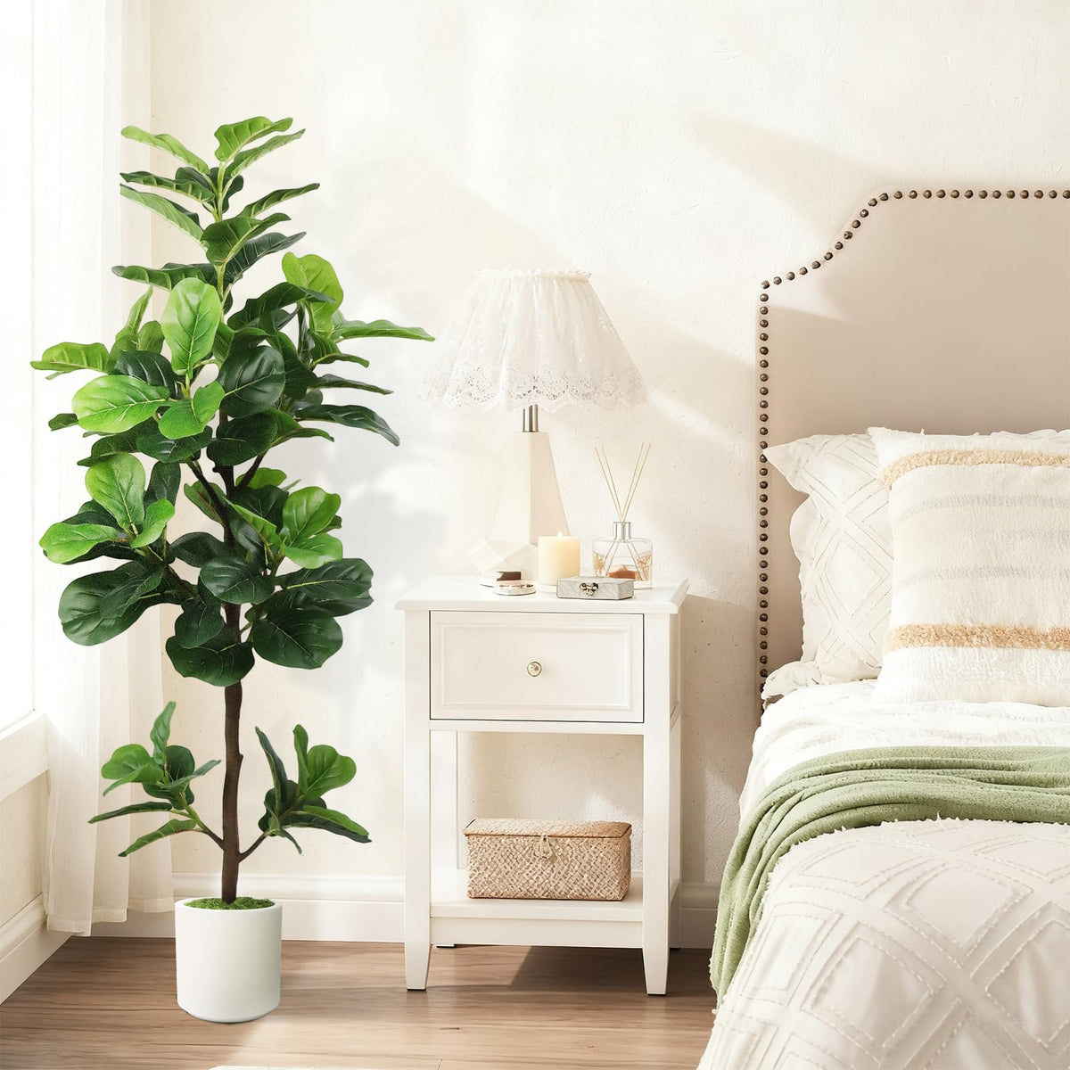 Instant greenery option that stays lush year-round.