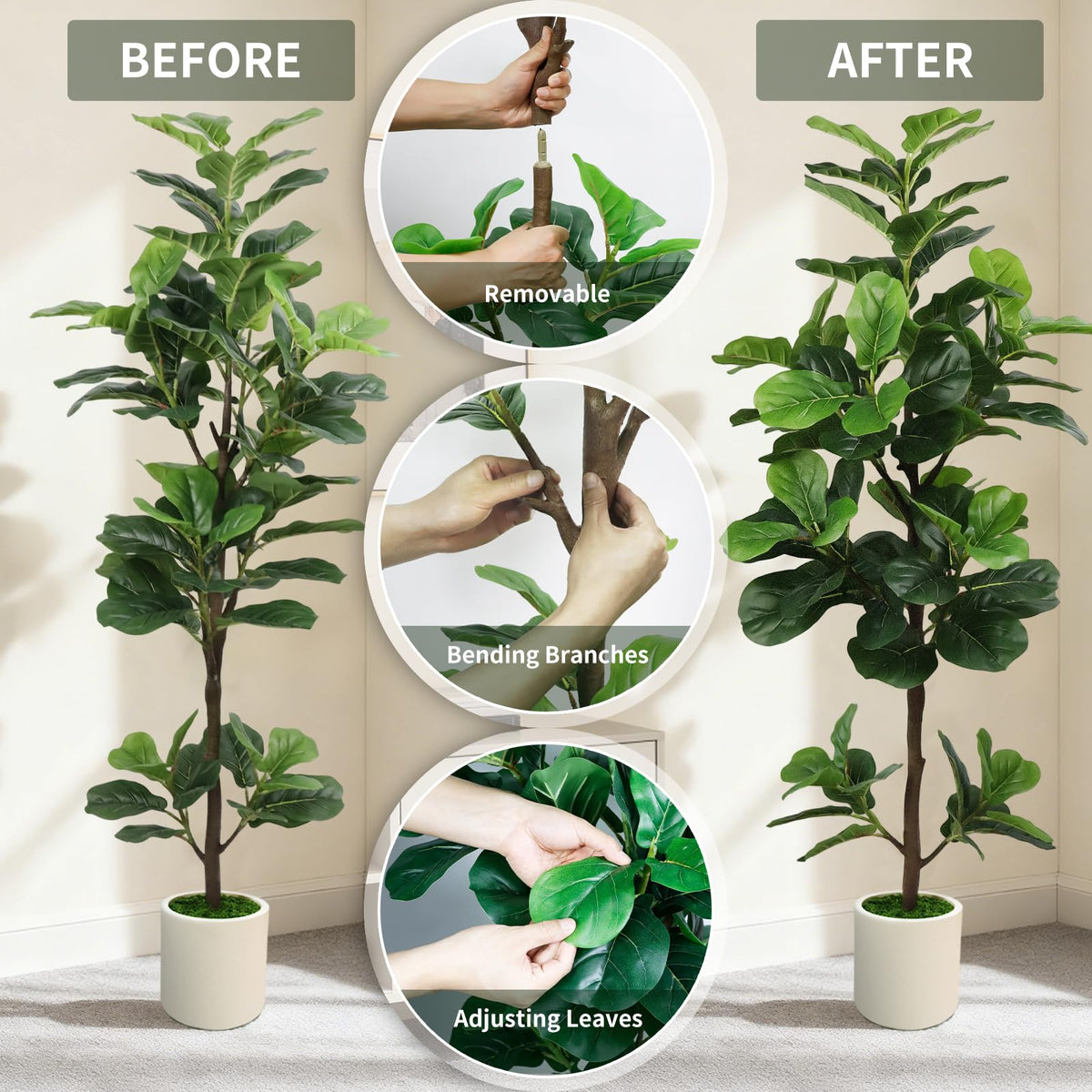 Weighted base keeps the PEPEUNI tree upright and stable.