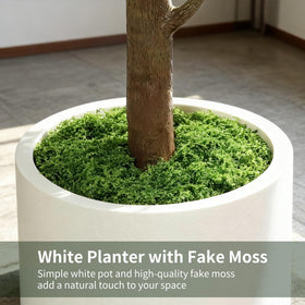Wood-like trunk and moss base enhance authenticity in any room.