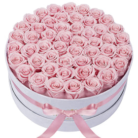 Perfectione Roses 50-piece pink preserved roses in velvet box for enduring decor
