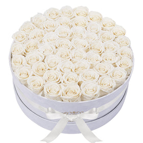 Perfectione Roses 50-piece velvet box closeup showing long-lasting color for elegant gifting.