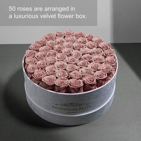 Perfectione Roses dusty rose preserved flowers closeup; vibrant color that endures.