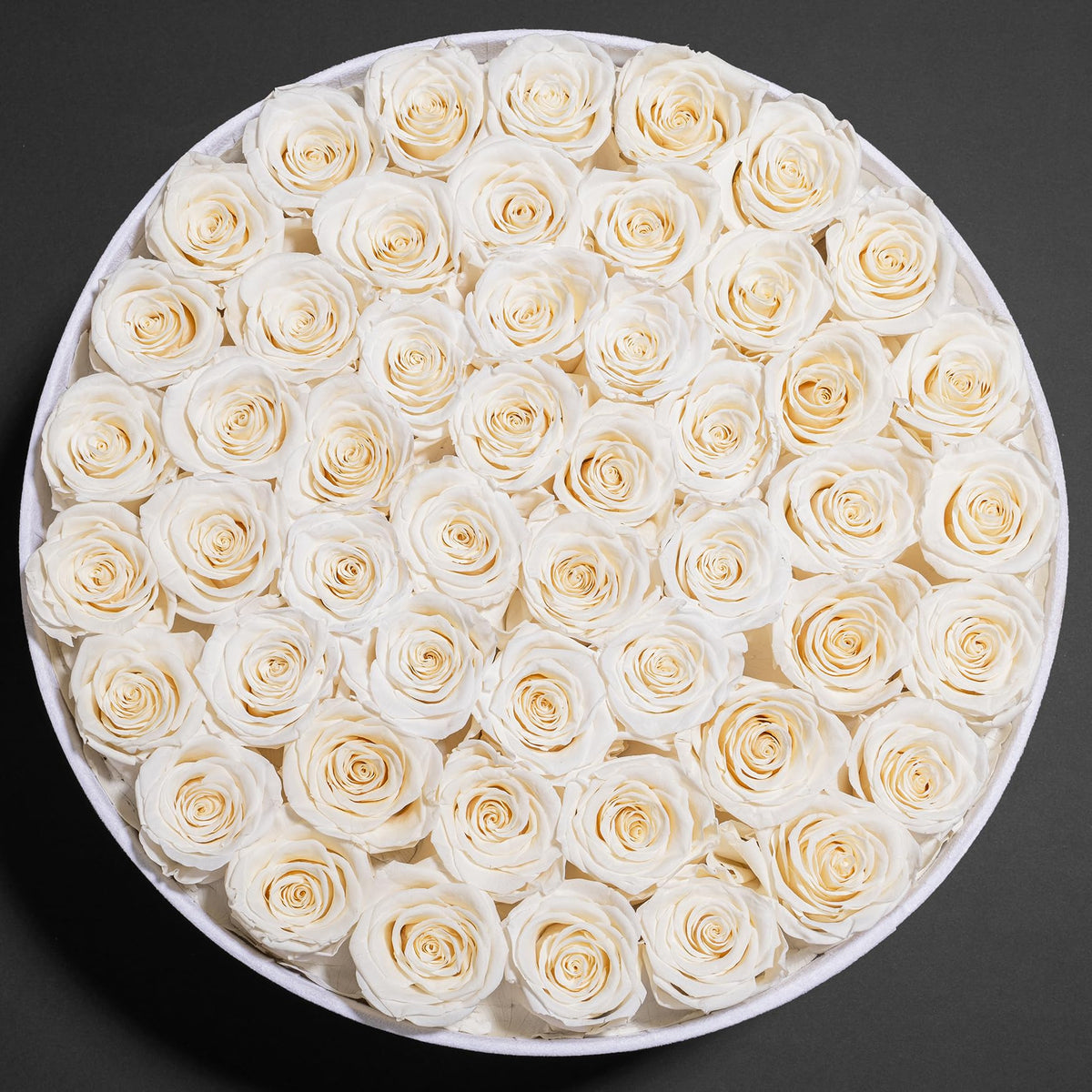 Perfectione Roses gift presentation in velvet box ready for a special moment.