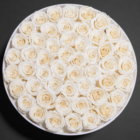 Perfectione Roses gift presentation in velvet box ready for a special moment.