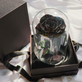 Perfectione Roses gift-ready box highlighting premium presentation.