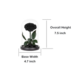 Perfectione Roses glass dome with wooden base showcasing premium display.
