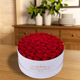Perfectione Roses preserved roses close-up reveals rich texture and timeless charm