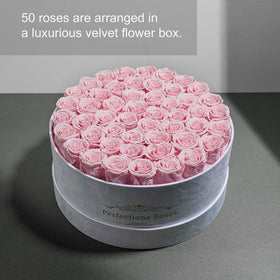 Perfectione Roses velvet box close-up of pink petals showing delicate texture