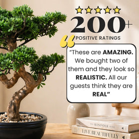 Permaplants bonsai leaf detailing for lifelike greenery on desks or shelves.