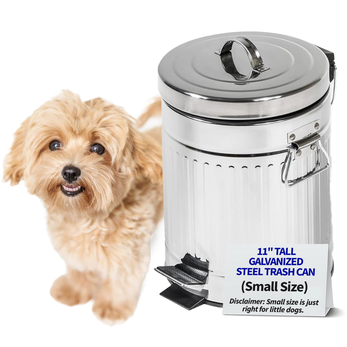 Pet Fit For Life steel trash can with lid and step pedal for easy disposal.