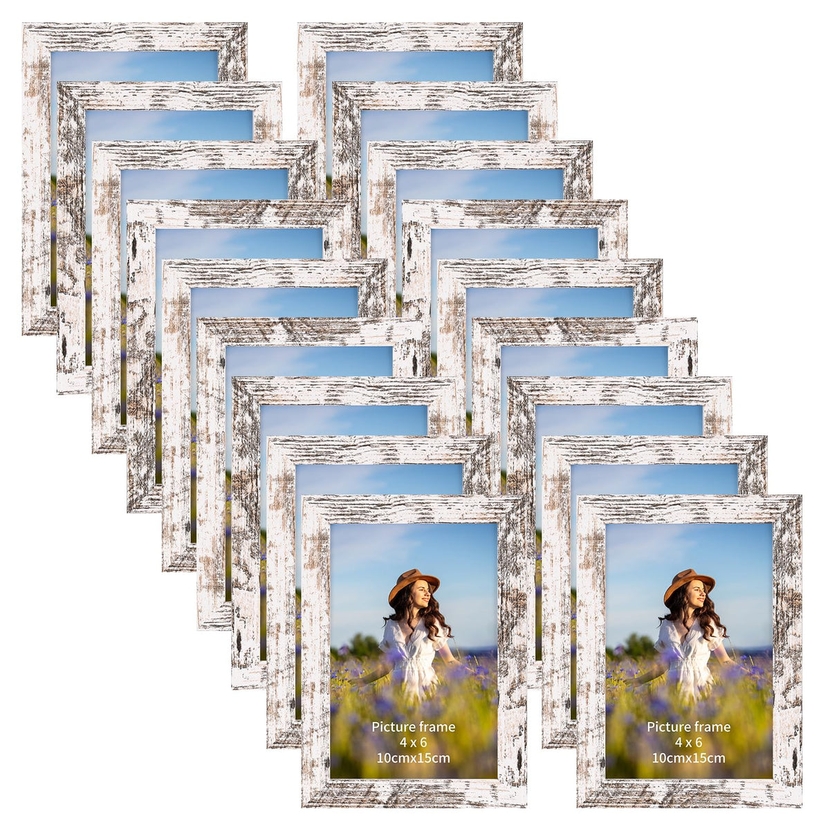 PETAFLOP 4x6 frames on a gallery wall highlight rustic charm and easy photo display.