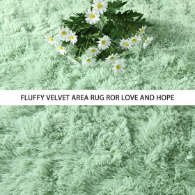 Pettop fluffy sage green area rug in a bedroom decor setting.