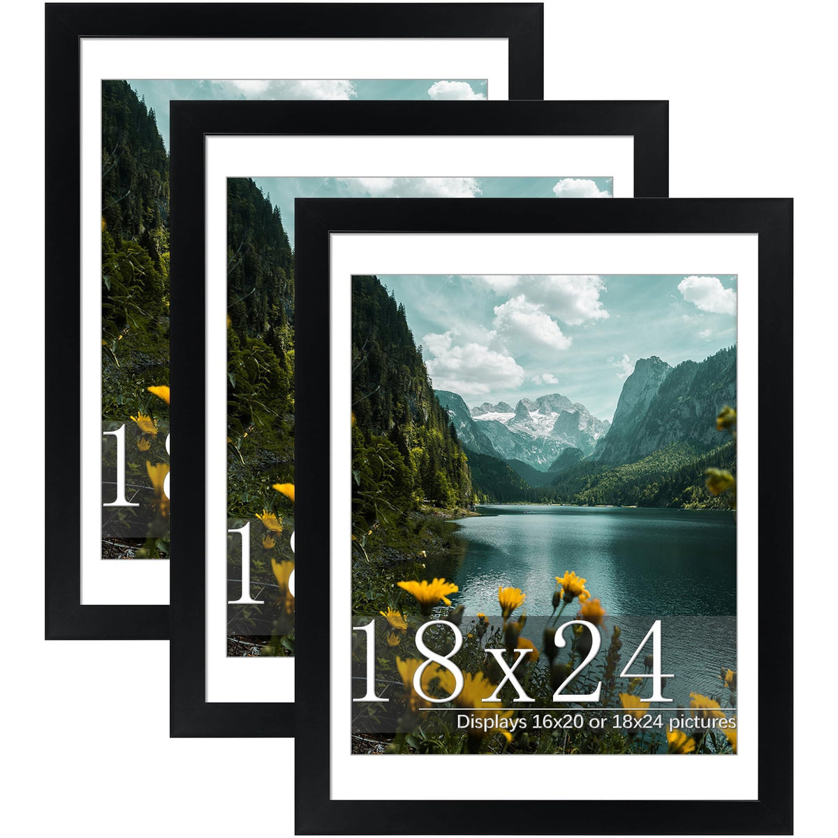 Picrit 18x24 frame with mat option front view shows flexible sizing for 16x20 posters.