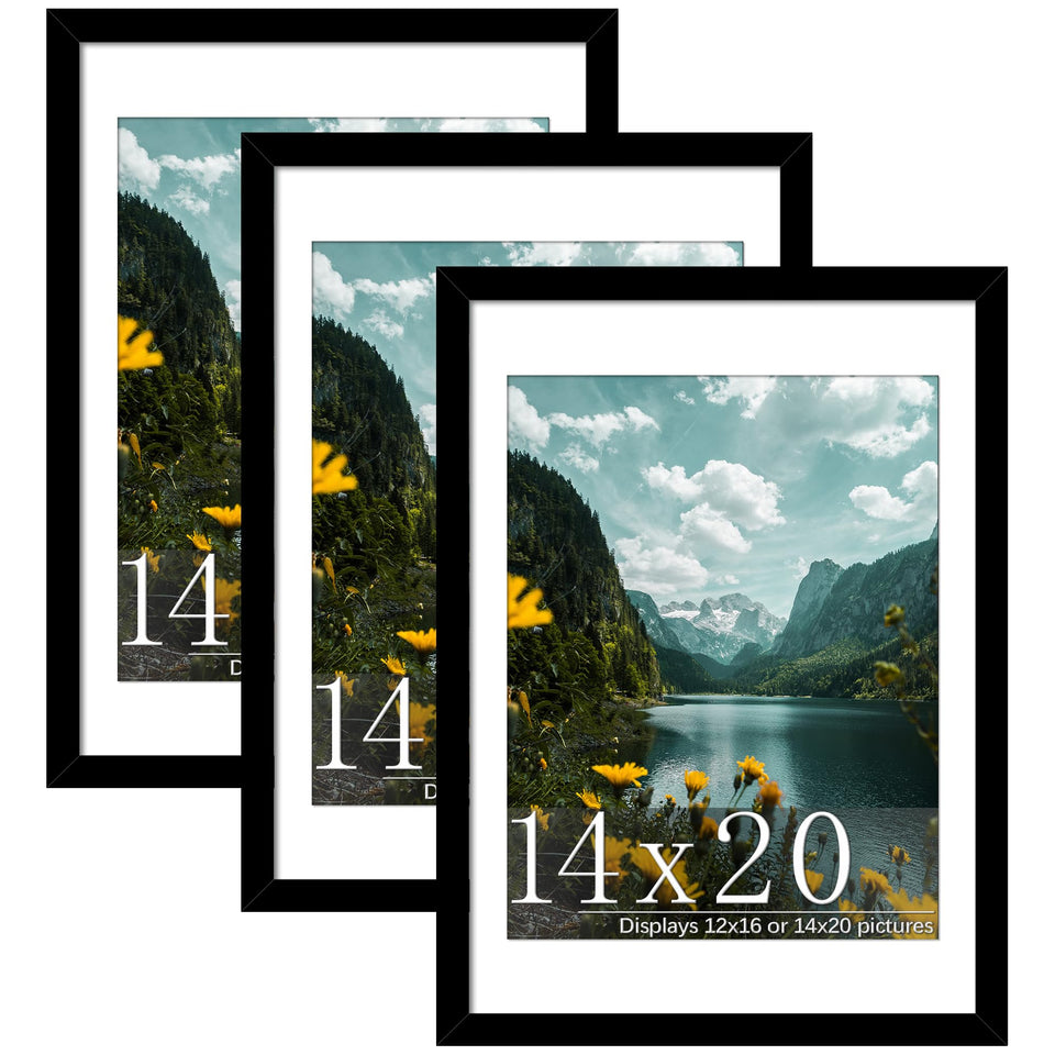 Picrit black wood frame 14x20 with mat for versatile display
