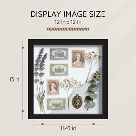 Picrit shadow box frame 12x12 open assembly view, quick setup without tools.