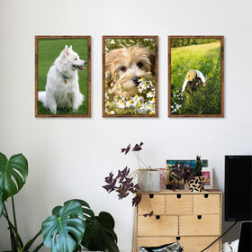 Picrit engineered wood frame with smooth brown finish.