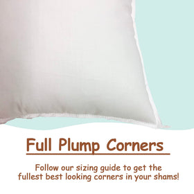 Pillowflex travel pillow insert is lightweight for on-the-go comfort.