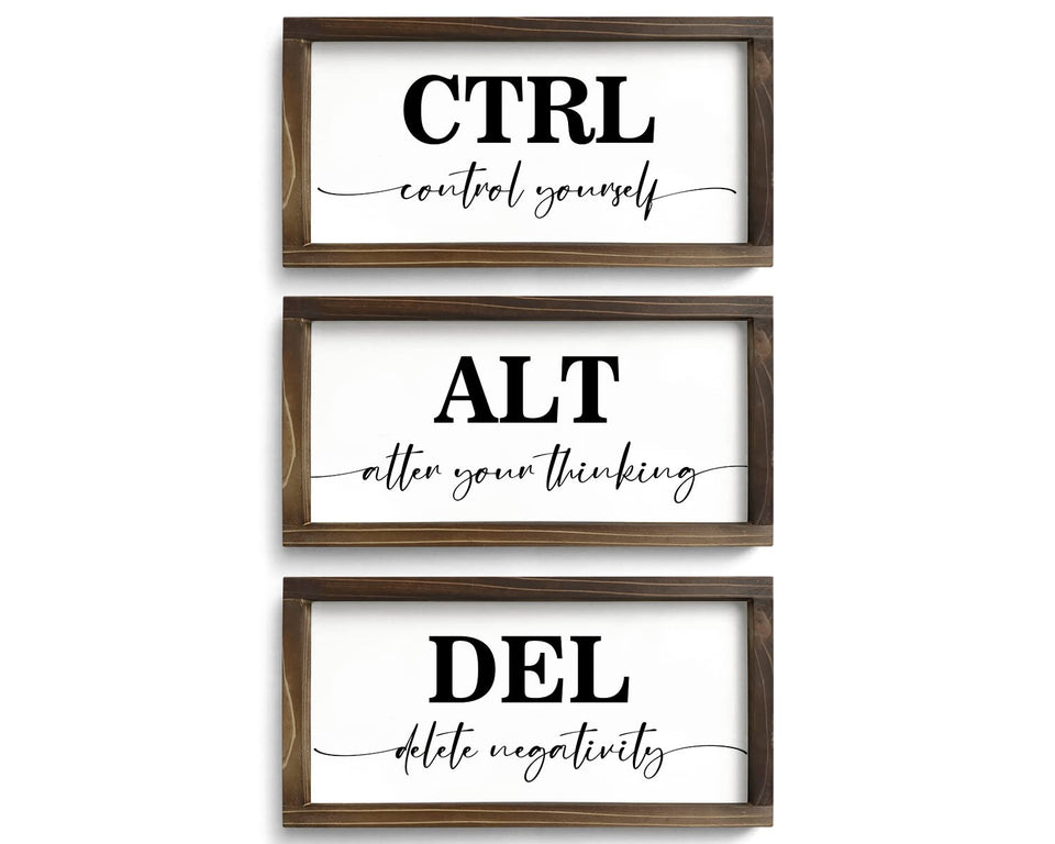 Pinetree Art Ctrl Alt Del wall art panel with motivational office quote.